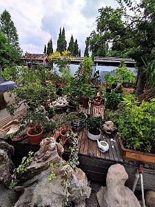 KUNMING - Parc Daguan - 110